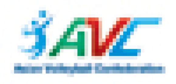 avc.gif