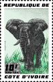 1° NFT AFRICANO